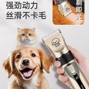 ������ë��������Ƽ�̩��؈�����_ë��ë������ë����؈���l����