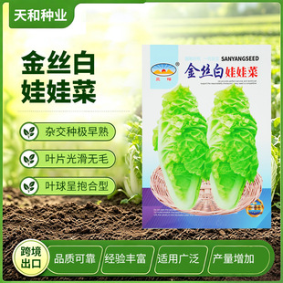 ��ꖽ�z�����޲˷N�������S�Ĳ˷N���ļ�ͥԺ�̨С�ײ˷N��