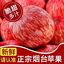 【淡雪条纹】烟台苹果栖霞红富士脆甜新鲜水果整箱产地直发