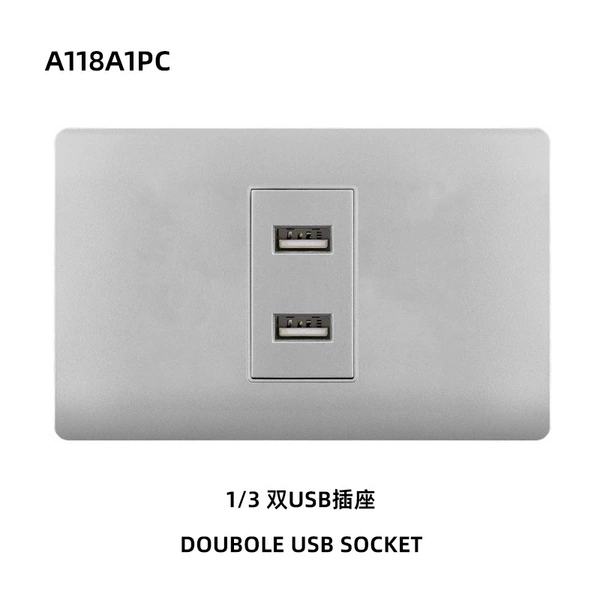 1/3 Dual USB socket