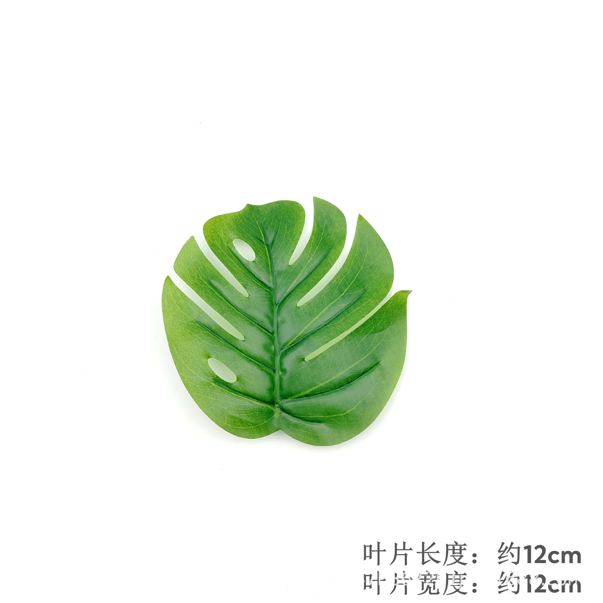 Monstera Leaf - Style 1