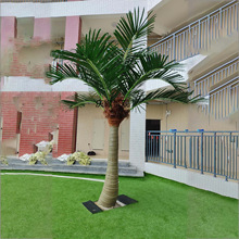 �����Ҭ����Ҭ�Ә��b�ɳ���Ƶ��̈�ͥԺ�e���پGֲ���߲���
