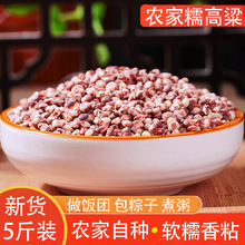 |sZճŴ׼tճʰճsZճ