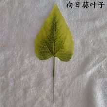 仿真花叶人造玫瑰花丝印叶假太阳花向日葵叶香皂花塑料花叶配件