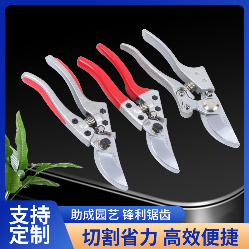 sk5钢果枝剪园艺修枝剪果树花枝修剪省力粗枝剪刀园林工具果树剪