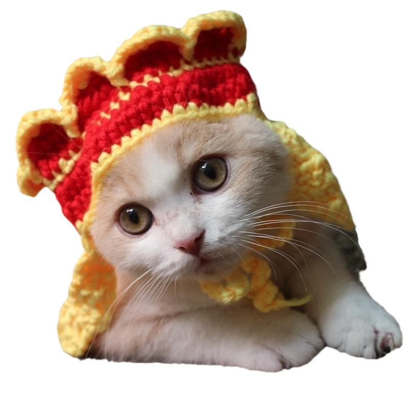 宠物头套猫咪狗狗编织帽子道具头饰搞笑变身服批发|undefined