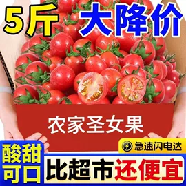 西式糕点;膨化;传统糕点