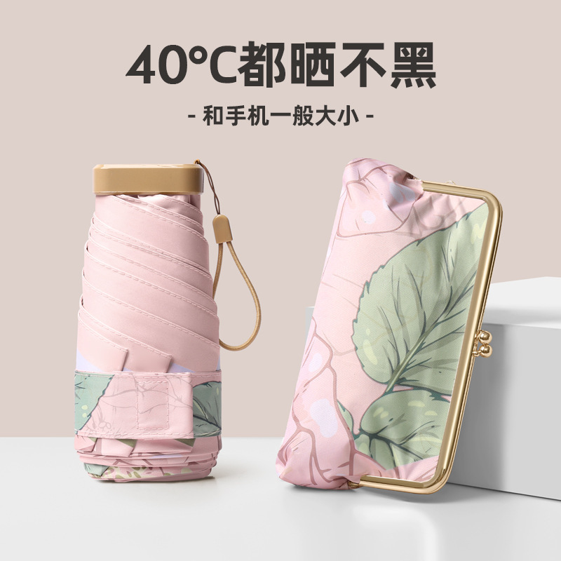 Guifu 가방-분말 안개 꽃 (미니 더 선 스크린)