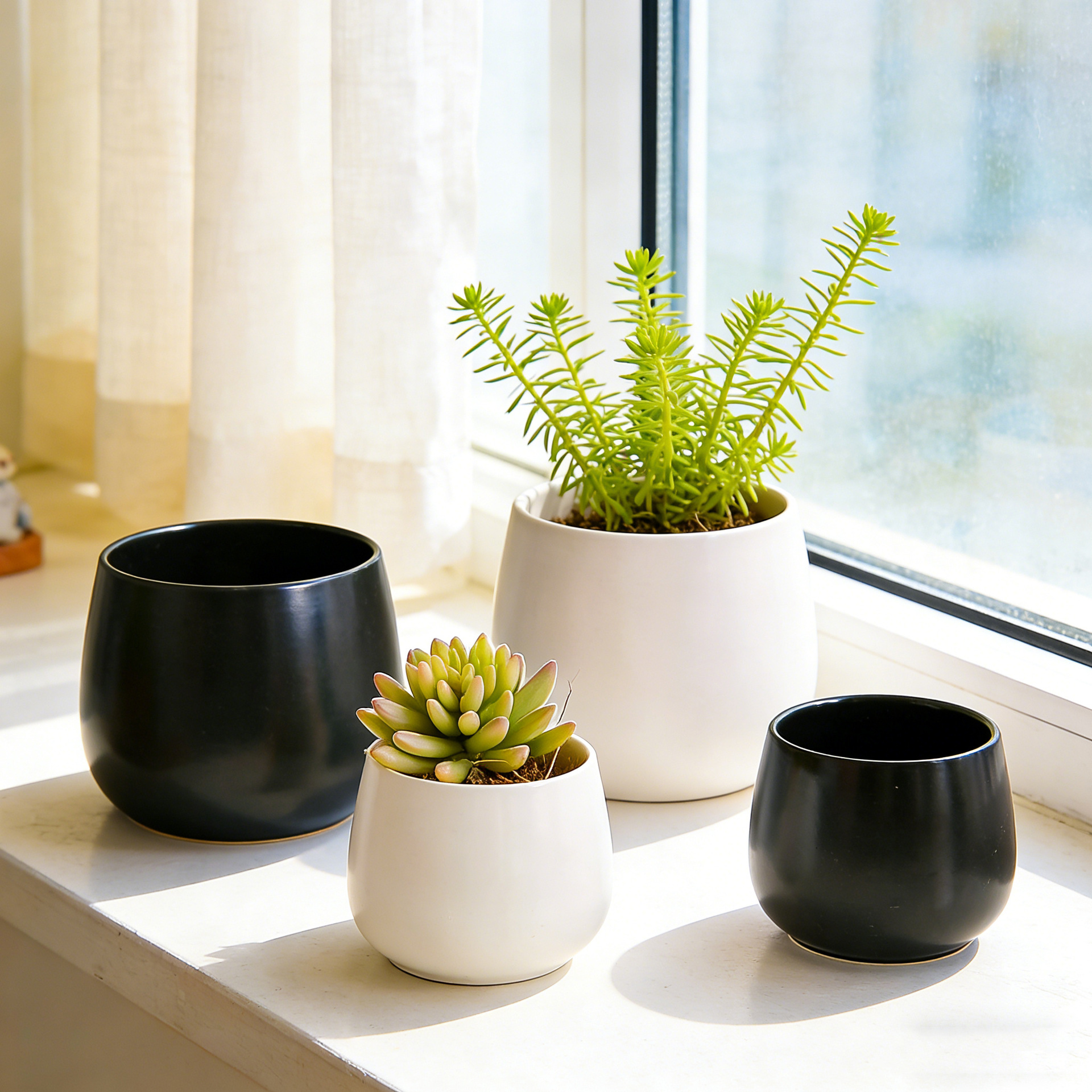 Maceta pequeña de cerámica simple en blanco y negro con bandeja, taza grande con forma de barriga, maceta pequeña para escritorio de oficina, maceta especial para suculentas.