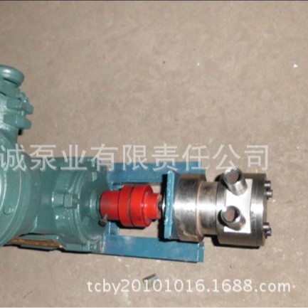奶酪输送泵NLB/不锈钢泵/转子泵/内齿泵/高粘度泵/食品泵