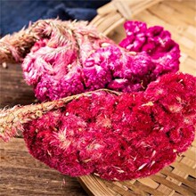 ���l��ș��ɢ�b500g�u�ڻ� �F؛�����u�ڻ� ���u�ڻ� �t�u�ڻ�