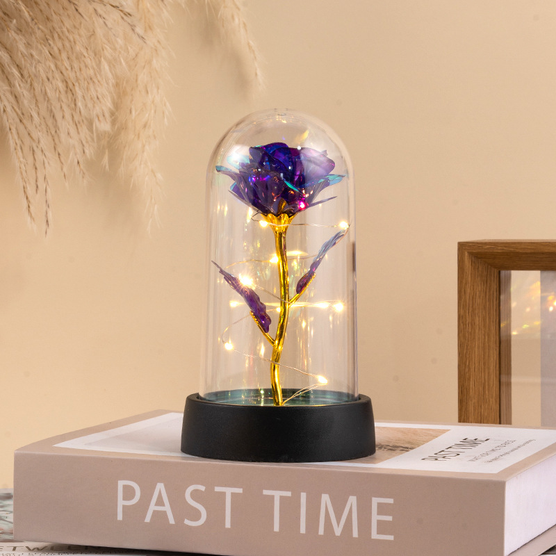 컬러 골드 퍼플