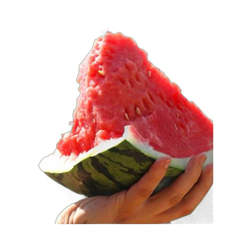 庭院水果种子