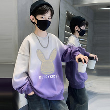 天才鲸男童春秋装卫衣2025新款中大童学生卡通打底衫儿童秋季上衣