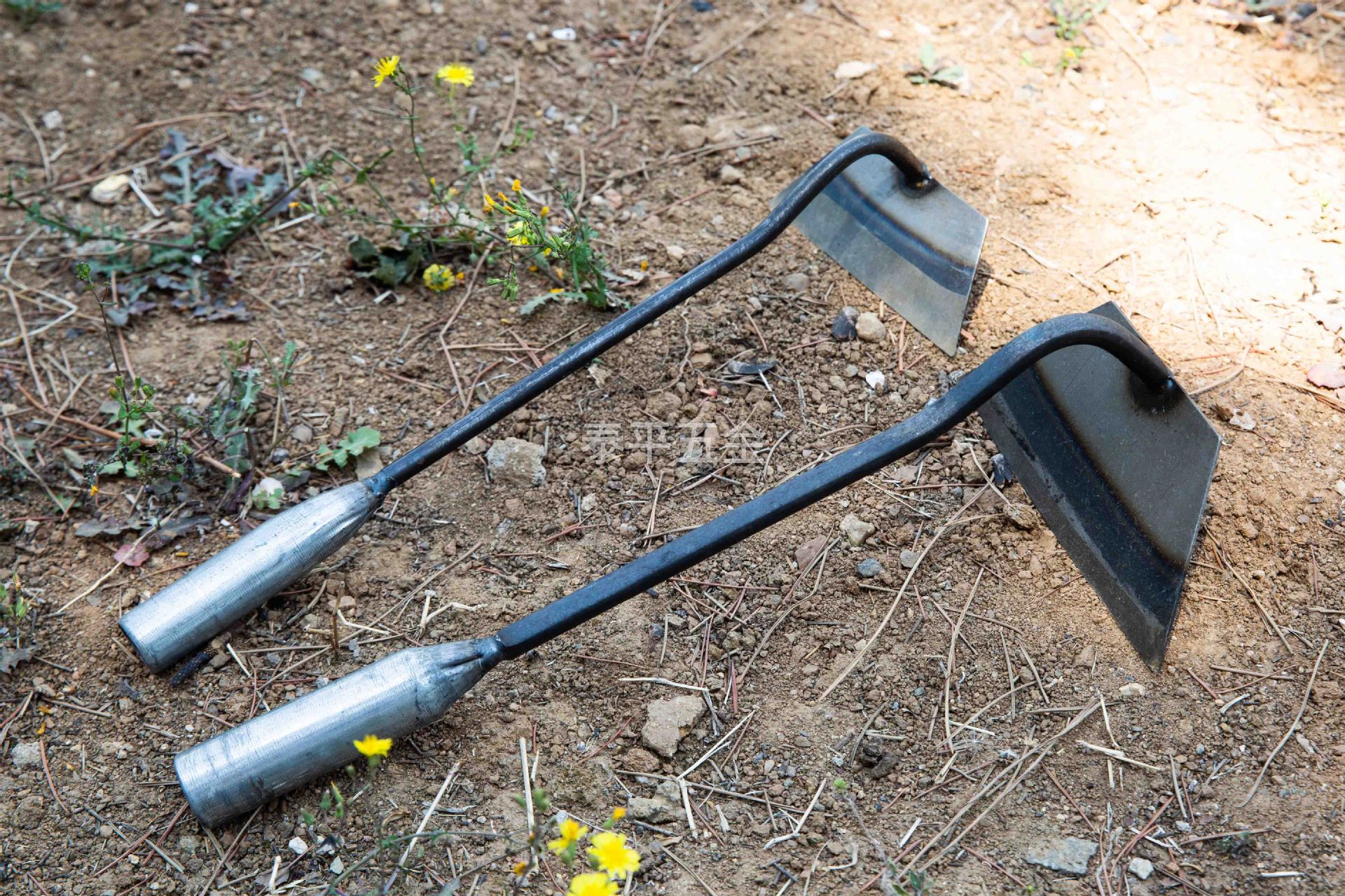 _S5A0099 拷贝_0015__S5A9894