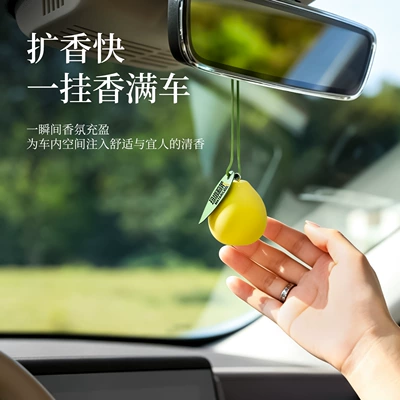 Eliminating Odor in the Car, Car hanging