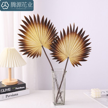 仿真绿植浦扇叶 棕树剑叶 家居酒店软装饰婚庆布景插花人造假树叶