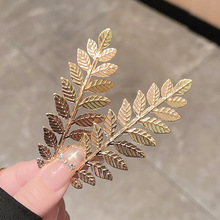 2025�¿�W�t�l�A��ɫ���~�l����߅�A�����A��l����l����^�