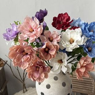 �͹�3�^���m�� ��ʽ�ҾӘӰ��g�bٻ����L�zӰ���߻��������廨