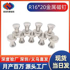 D16*20中号强磁金属磁图钉  办公书画白板镇纸钕铁硼强磁金属磁图