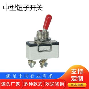 TS-1101 medium button switch