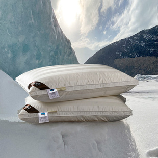 Five-star Hotel Same Style Down Pillow 95 White Goose Down Pillow for Adult Men to Help Sleep