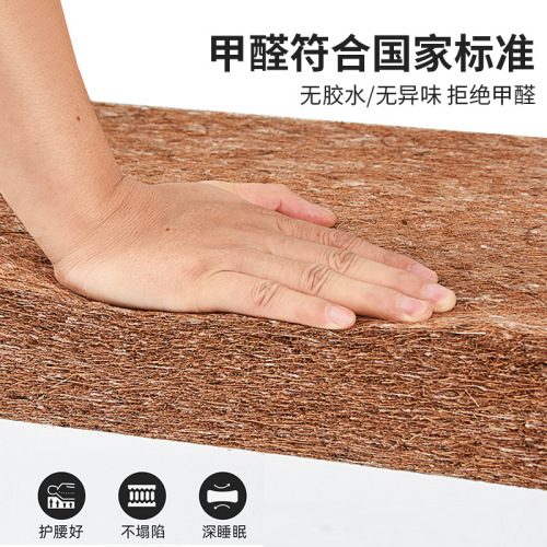 1.5m Coconut Palm Mattress Wholesale Household Eco-Friendly Coconut Palm Pad Renting House Latex Coconut Palm Foldable Harder Palm Pad 
