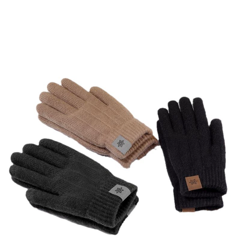 Men's demi-season gloves, keep warm windproof cold-proof knitted electric car for cycling