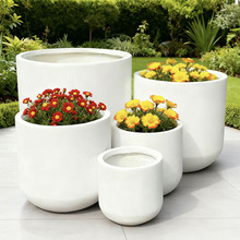 �F�����@��·�A�������V��ɫ���� �҃������b�w�Sˮ��Nֲ�����s