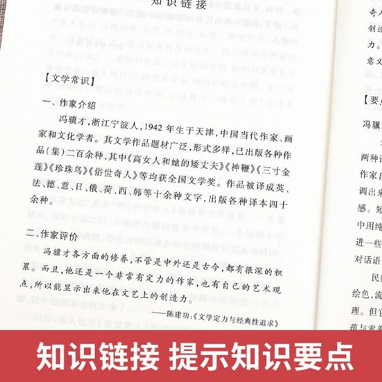 呼兰河传萧红著小学生阅读课外书小兵张嘎人民文学出版社俗世奇人|undefined