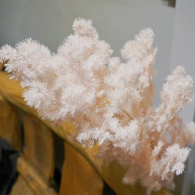 Вечная жизнь цветок цветок Попонлазон Производитель Zhenhua Direct Direct Guarding Flower Material Material Gif