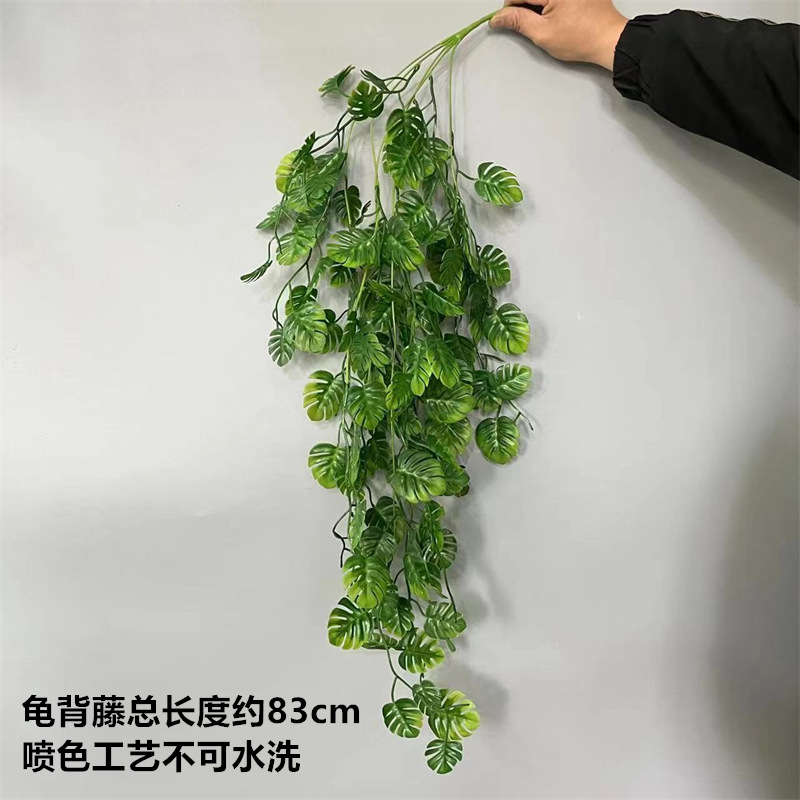 녹색