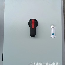 隆马电器 正面 户外室内漏电保护箱 断路器箱 柜外操作隔离开关箱