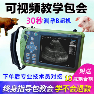 �F��b���C�����i��B���y�Ѓx������ĸţ�����ȳ���Ȯ�ʳ��z����