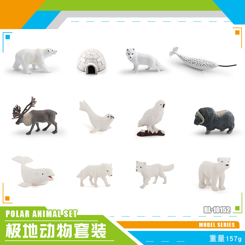Exportación transfronteriza simulación modelo de animales polares mini animales de invierno ártico beluga morsa cognición educación temprana decoración