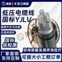 厂家直销YJLV电缆线3芯10平方电线国标铝芯低压配电箱插座电源线