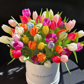 ✅假花郁金香花感手工家居客厅装饰花束摆件工艺品拍摄道