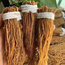 �L��ɽ�t��횸����˅�횅����o���ǅ����|������ݾ����Ҝ��υ���