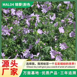 �\���N���G���X��С�X�����X�ϻ���������ֱ���ݱ������ͺ����N��