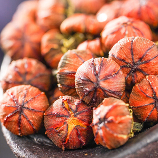 ����ѩ�շ�Ұ���ؼ��½�̥����ɽѪ��Ұ��ѩ�ջ�����