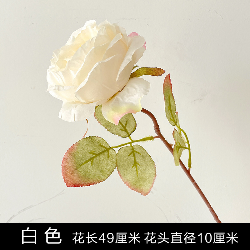 하얀색