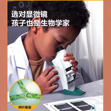 �@΢�R��С�W�����Ã�ͯ����к�9Ů��6����5��ͯ10�qʮ���նY��