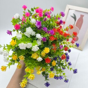 �V�|�ȼ����軨�߲�õ��������R�d���滨�羳���ϰ����S�����l