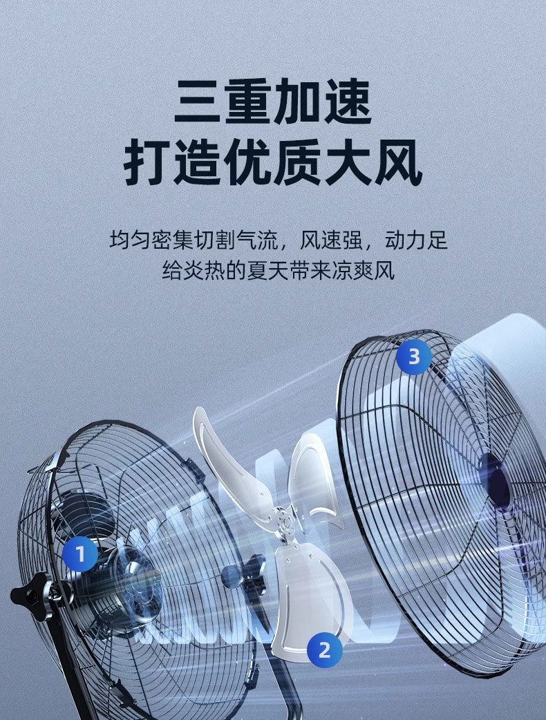 41f12b92-7b8f-4cef-b8dc-55692e1fbff4.jpe