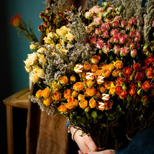 干花多头小玫瑰泡泡天然真花家居插花装饰diy手工活动干花材软装