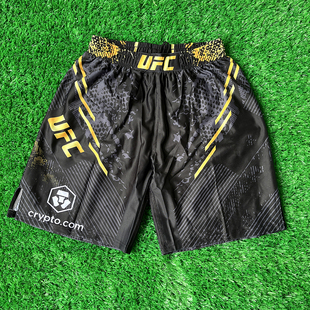 ̩ȭ��ѝȭ��MMA����ѝ��Ů�C�ϸ�UFCӖ����������ѝ