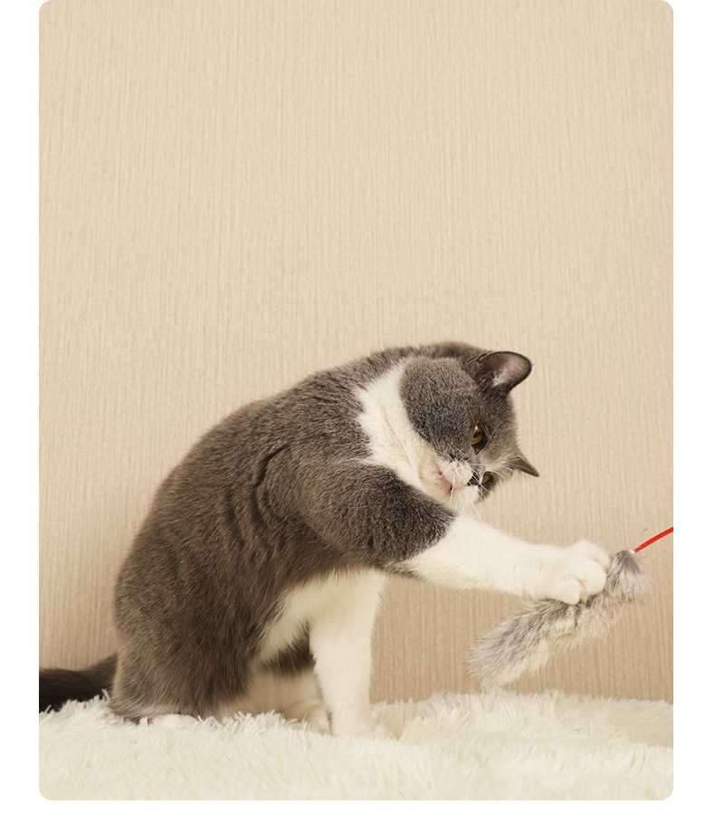 逗猫棒详情页_07.jpg