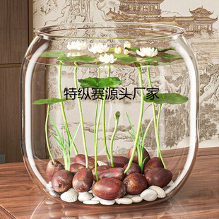 ��ɏ�N�߲������ɫˮ�໨��ˮ�B�ļ�ɏ���ɻ��Nɏź�Gֲˮ��ɏ��