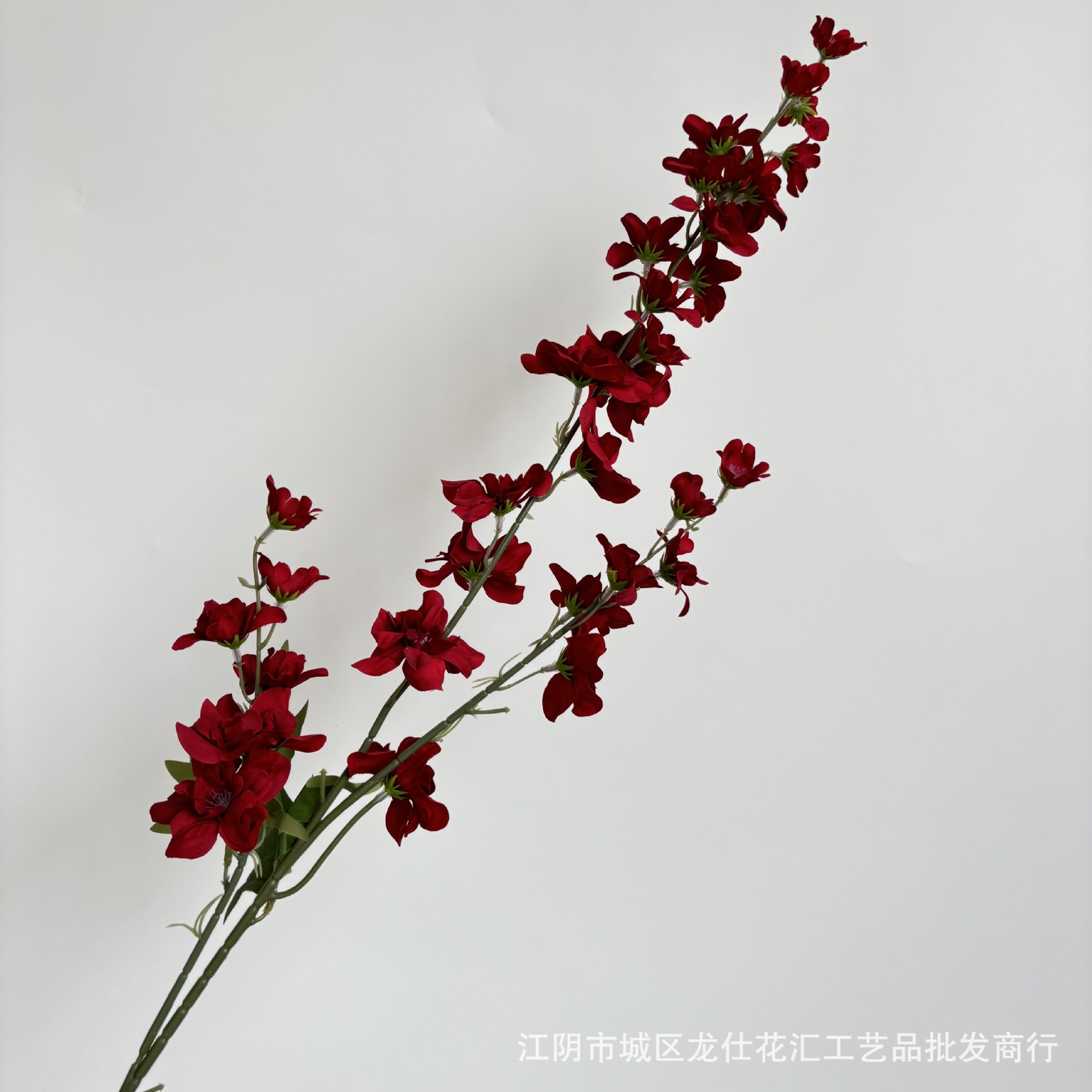 세 갈래의 비행 제비