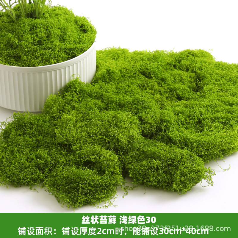 浅绿丝状苔藓30克